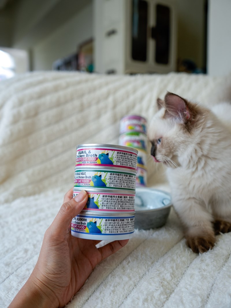 女人知己試用大隊,口碑行銷,部落客行銷,PURRFACT 波菲特貓用主食罐,主食罐,PURRFACT波菲特,貓主食罐,貓罐,PURRFACT波菲特貓用主食罐,魚肉蔓越莓主食罐,鮮嫩雞主食罐,鹿肉雞肉主食罐,牛肉鵪鶉貓主食罐,干貝蠶蛹配方,鱷魚肉白木耳配方,雞肉魚肉配方,安心鶉配方,評價,體驗,適口性佳,心得,成貓適用,高齡貓適用,質地是慕絲狀